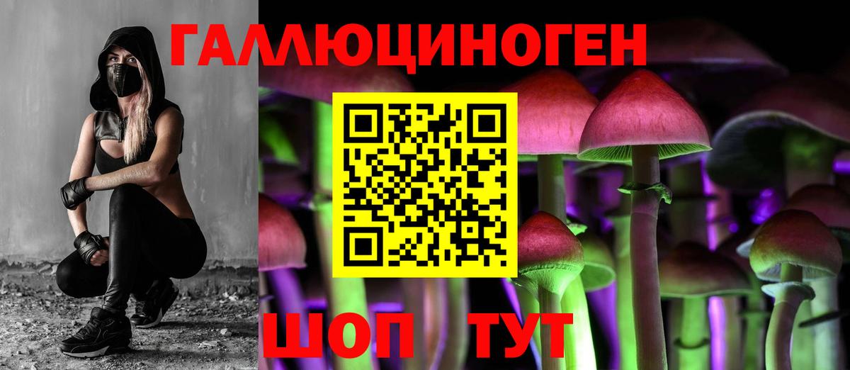 Псилоцибиновые грибы прущие грибы  где продают наркотики  Дюртюли  Псилоцибиновые грибы Psilocybine cubensis  Вход с VPN 